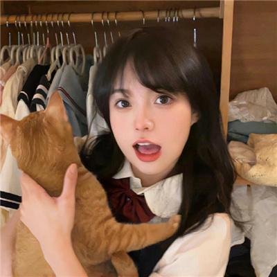 动画天地